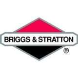 Images of Briggs Oil Filters Gas Filters