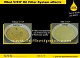 Pictures of Vito Oil Filter System